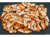 Чешуйки CR135 Малёк с рисками, 10,5 х 5 мм., медь, 500 шт.
